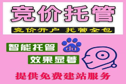 网络营销新篇章：竞价推广案例分析